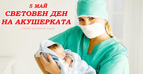 5 05 den akysherka