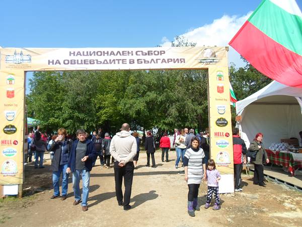 sabor ovtzevudi189
