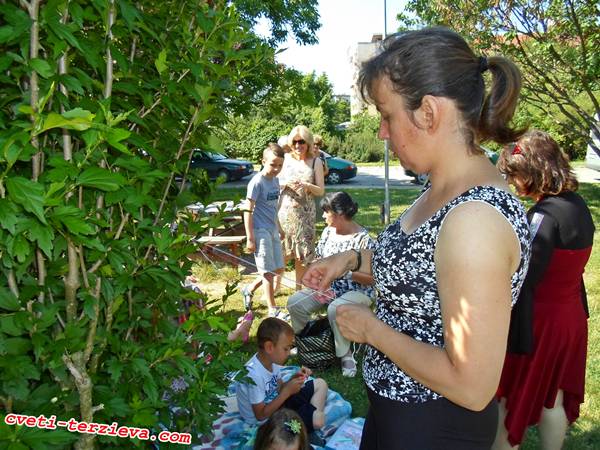 wwkip razgrad 11