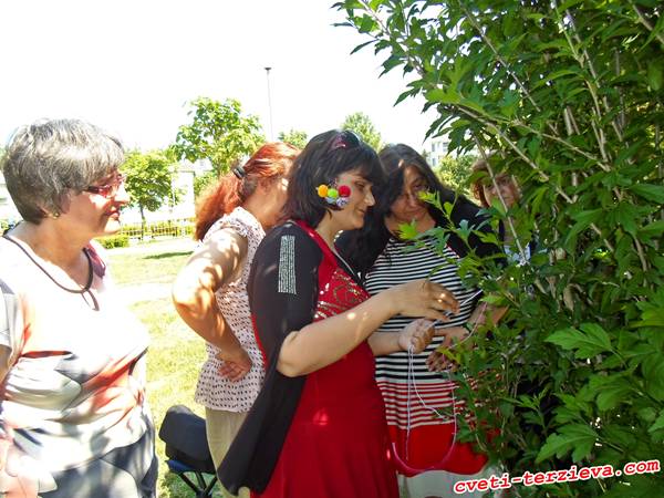 wwkip razgrad 7