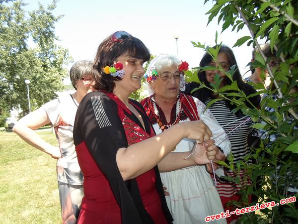 wwkip razgrad 8
