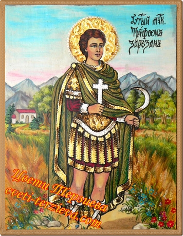 Sveti Trifon Cveti Pletivo