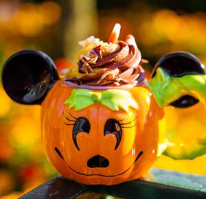 31 10 heloyin cveti terzieva poveriq 2