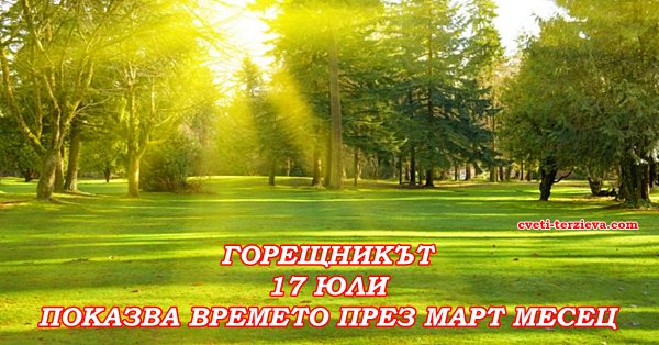 17 07 mart